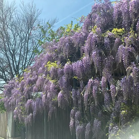 Skyline Graz Daire Stattegg