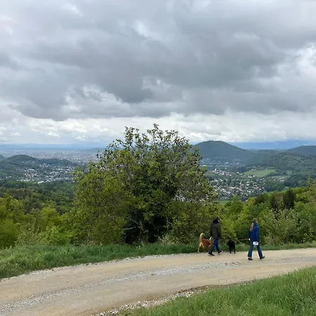 Skyline Graz Stattegg