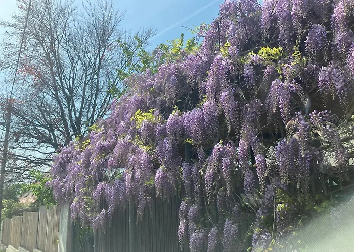 Skyline Graz Lejlighed Stattegg